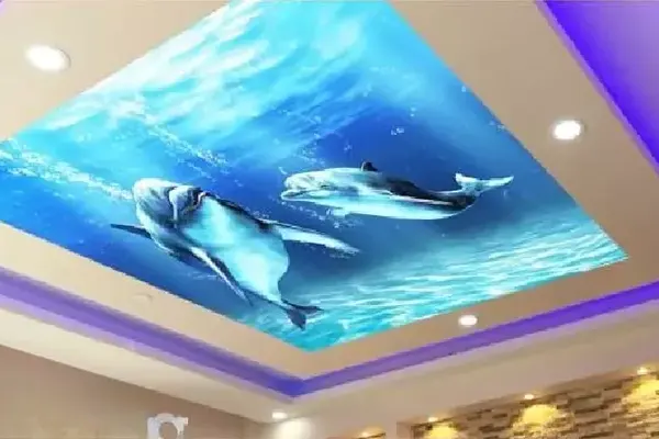 سقف کاذب تصویری